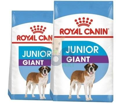 ROYAL CANIN Giant Junior 2x15kg karma sucha dla szczeniąt  od 8 do 18/24 miesiąca życia, ras olbrzymich