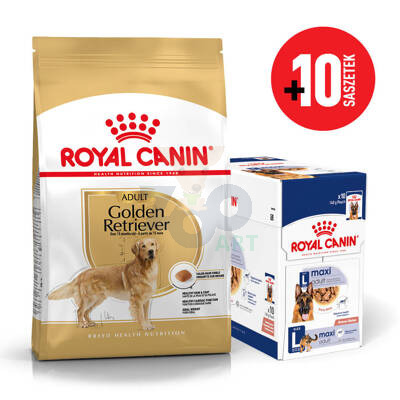 ROYAL CANIN Golden Retriever Adult 12kg karma sucha dla psów dorosłych rasy golden retriever + karma mokra GRATIS!
