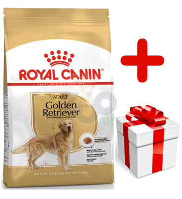 ROYAL CANIN Golden Retriever Adult 12kg karma sucha dla psów dorosłych rasy golden retriever + niespodzianka dla psa GRATIS!