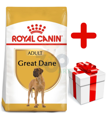 ROYAL CANIN Great Dane Adult 12kg karma sucha dla psów dorosłych rasy dog niemiecki  + niespodzianka dla psa GRATIS!