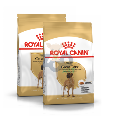 ROYAL CANIN Great Dane Adult 2x12kg karma sucha dla psów dorosłych rasy dog niemiecki
