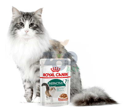 ROYAL CANIN  Instinctive +7 24x85g karma mokra w sosie dla kotów starszych, wybrednych 
