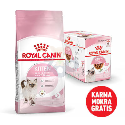 ROYAL CANIN  Kitten 10kg karma sucha dla kociąt od 4 do 12 miesiąca życia + Karma mokra GRATIS!