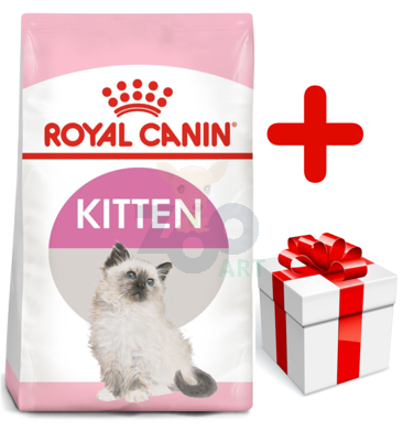 ROYAL CANIN  Kitten 10kg karma sucha dla kociąt od 4 do 12 miesiąca życia  + niespodzianka dla kota GRATIS!