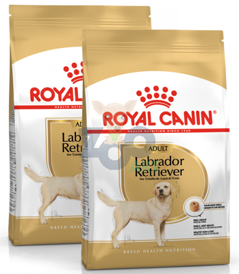 ROYAL CANIN Labrador Retriever Adult 2x12kg karma sucha dla psów dorosłych rasy labrador retriever