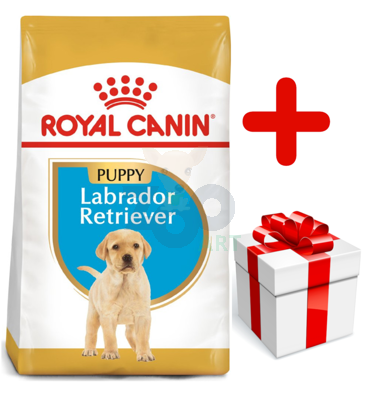 ROYAL CANIN Labrador Retriever Puppy 12kg + niespodzianka dla psa GRATIS!