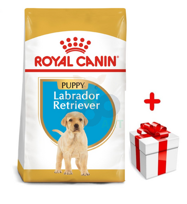 ROYAL CANIN Labrador Retriever Puppy 3kg karma sucha dla szczeniąt do 15 miesiąca, rasy labrador retriever + niespodzianka dla kota GRATIS!