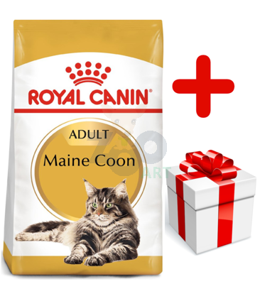 ROYAL CANIN Maine Coon Adult 10kg + niespodzianka dla kota GRATIS!