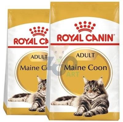 ROYAL CANIN Maine Coon Adult 2x10kg karma sucha dla kotów dorosłych rasy maine coon