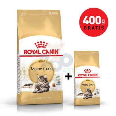 ROYAL CANIN Maine Coon Adult 4kg + 400g karmy GRATIS!