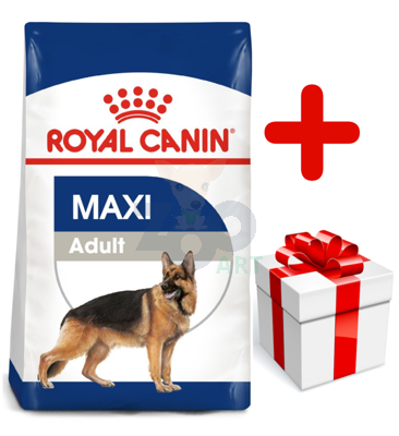 ROYAL CANIN Maxi Adult 15kg karma sucha dla psów dorosłych, do 5 roku życia, ras dużych + niespodzianka dla psa GRATIS!
