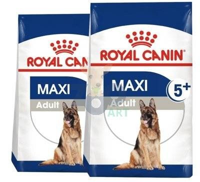ROYAL CANIN Maxi Adult 5+ 2x15kg karma sucha dla psów starszych, od 5 do 8 roku życia, ras dużych