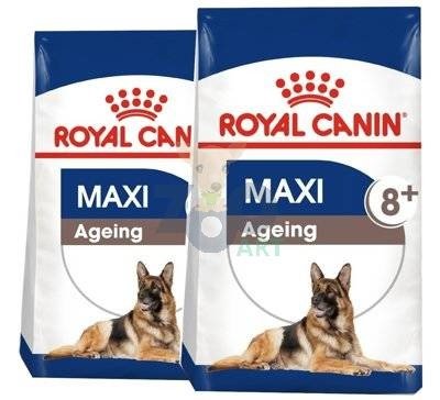 ROYAL CANIN Maxi Ageing 8+ 2x15kg karma sucha dla psów dojrzałych, po 8 roku życia, ras dużych