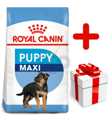 ROYAL CANIN Maxi Puppy 15kg karma sucha dla szczeniąt, od 2 do 15 miesiąca życia, ras dużych  + niespodzianka dla psa GRATIS!