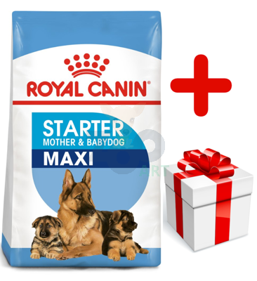ROYAL CANIN Maxi Starter Mother&Babydog 15kg + niespodzianka dla psa GRATIS!
