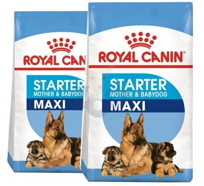 ROYAL CANIN Maxi Starter Mother&Babydog 2x15kg karma sucha dla suk w ciąży i okresie laktacji oraz szczeniąt, od 4 do 8 tygodnia życia, ras dużych 