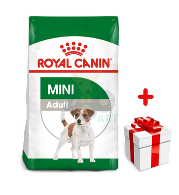 ROYAL CANIN Mini Adult 800g karma sucha dla psów dorosłych, ras małych + niespodzianka dla psa GRATIS