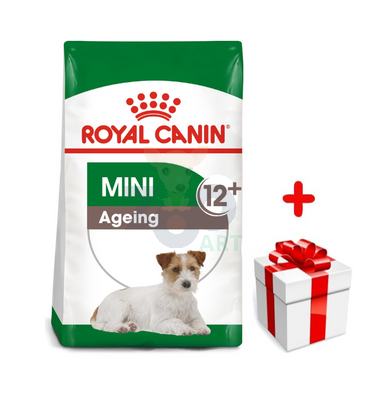 ROYAL CANIN Mini Ageing 12+ 1,5kg karma sucha dla psów dojrzałych po 12 roku życia, ras małych + niespodzianka dla psa GRATIS