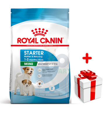 ROYAL CANIN Mini Starter Mother & Babydog 1kg karma sucha dla suk w ciąży i okresie laktacji oraz szczeniąt, od 4 do 8 tygodnia, ras małych  + niespodzianka dla psa GRATIS!