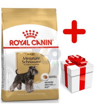 ROYAL CANIN Miniature Schnauzer Adult 7,5kg karma sucha dla psów dorosłych rasy schnauzer miniaturowy + niespodzianka dla psa GRATIS! 