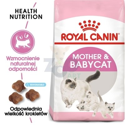 ROYAL CANIN  Mother&Babycat 4kg karma sucha dla kotek w okresie ciąży, laktacji i kociąt od 1 do 4 miesiąca życia +  Mysz w futerku na wędce!