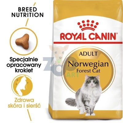 ROYAL CANIN Norvegian Forest Cat Adult 2kg + niespodzianka dla kota GRATIS!