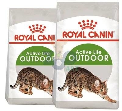 ROYAL CANIN  Outdoor 30 2x10kg karma sucha dla kotów dorosłych, wychodzących na zewnątrz