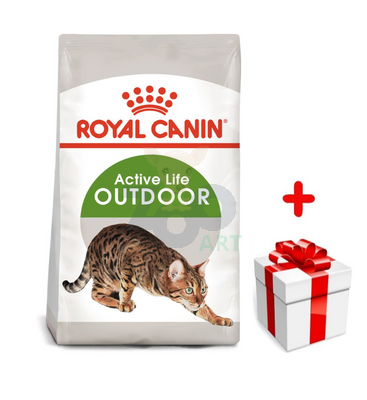 ROYAL CANIN  Outdoor 30 4kg karma sucha dla kotów dorosłych, wychodzących na zewnątrz + niespodzianka dla kota GRATIS