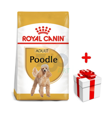 ROYAL CANIN Poodle Adult 1,5kg karma sucha dla psów dorosłych rasy pudel miniaturowy + niespodzianka dla psa GRATIS