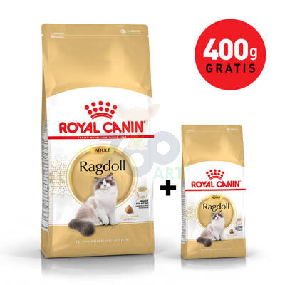 ROYAL CANIN Ragdoll Adult 2kg + 400g karmy GRATIS!