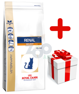 ROYAL CANIN Renal Select Feline 4kg + niespodzianka dla kota GRATIS!