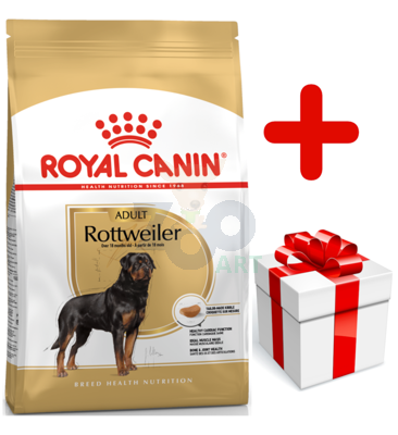 ROYAL CANIN Rottweiler Adult 12kg karma sucha dla psów dorosłych rasy rottweiler  + niespodzianka dla psa GRATIS!