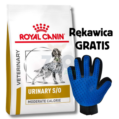 ROYAL CANIN Urinary S/O Moderate Calorie UMC 20 12kg + Rękawica do czesania GRATIS!