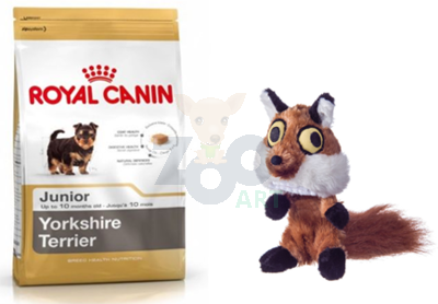 ROYAL CANIN Yorkshire Terrier Junior 500g + Barry King lis pluszowy