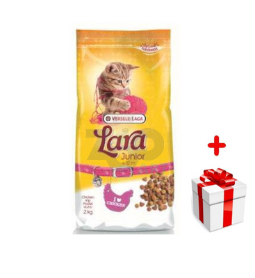 VERSELE-LAGA Lara Junior 2kg + niespodzianka dla kota GRATIS!