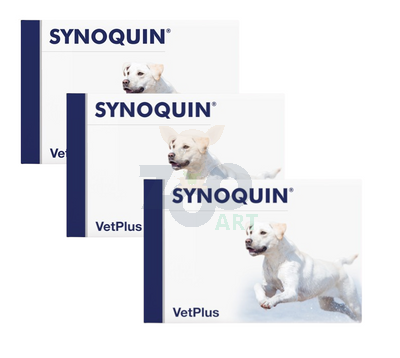 VetPlus SYNOQUIN EFA duże rasy 3x30 tabletek