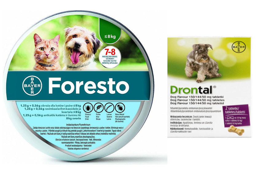 BAYER Foresto Obroża dla kotów i psów poniżej 8kg + Drontal Dog
