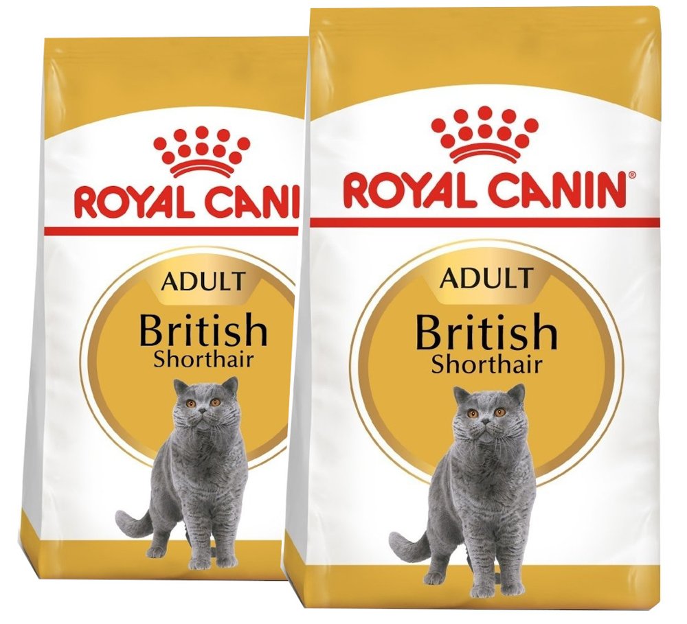 spectrum Defeated Jurassic Park ROYAL CANIN British Shorthair 2x10kg karma sucha dla kotów dorosłych rasy  brytyjski krótkowłosy | Sklep zoologiczny ZooArt