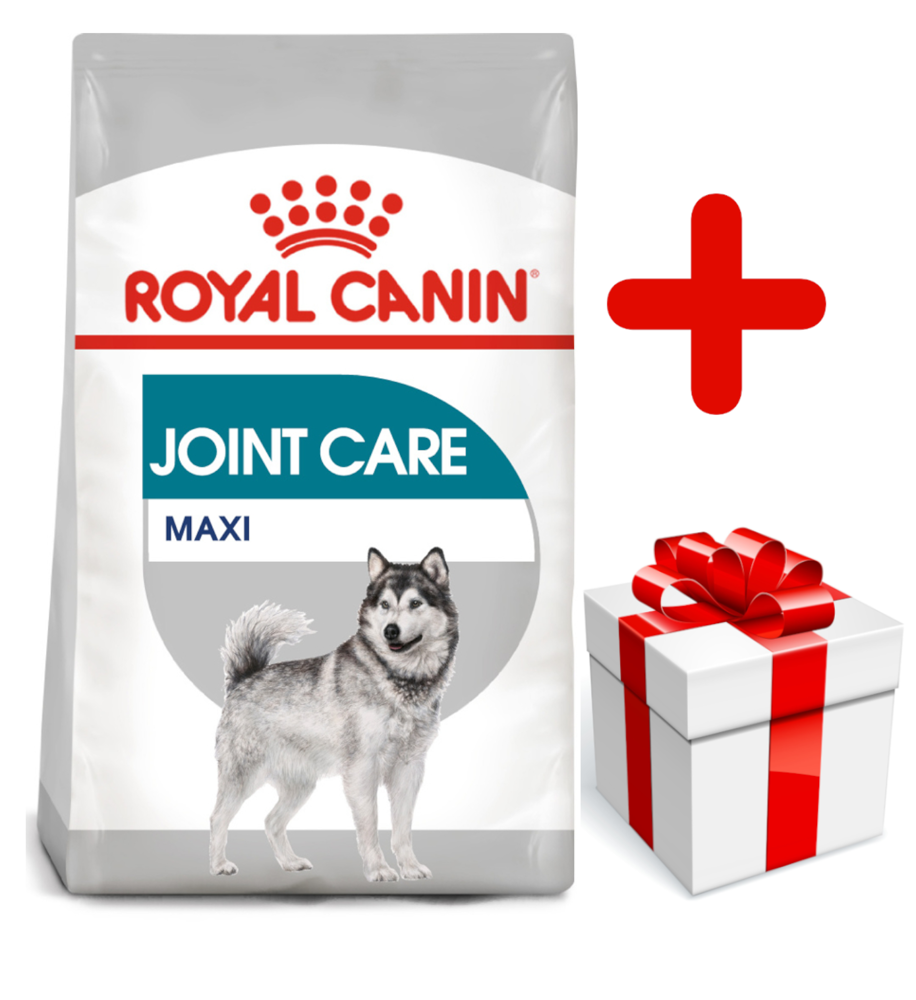 royal canin maxi joint care
