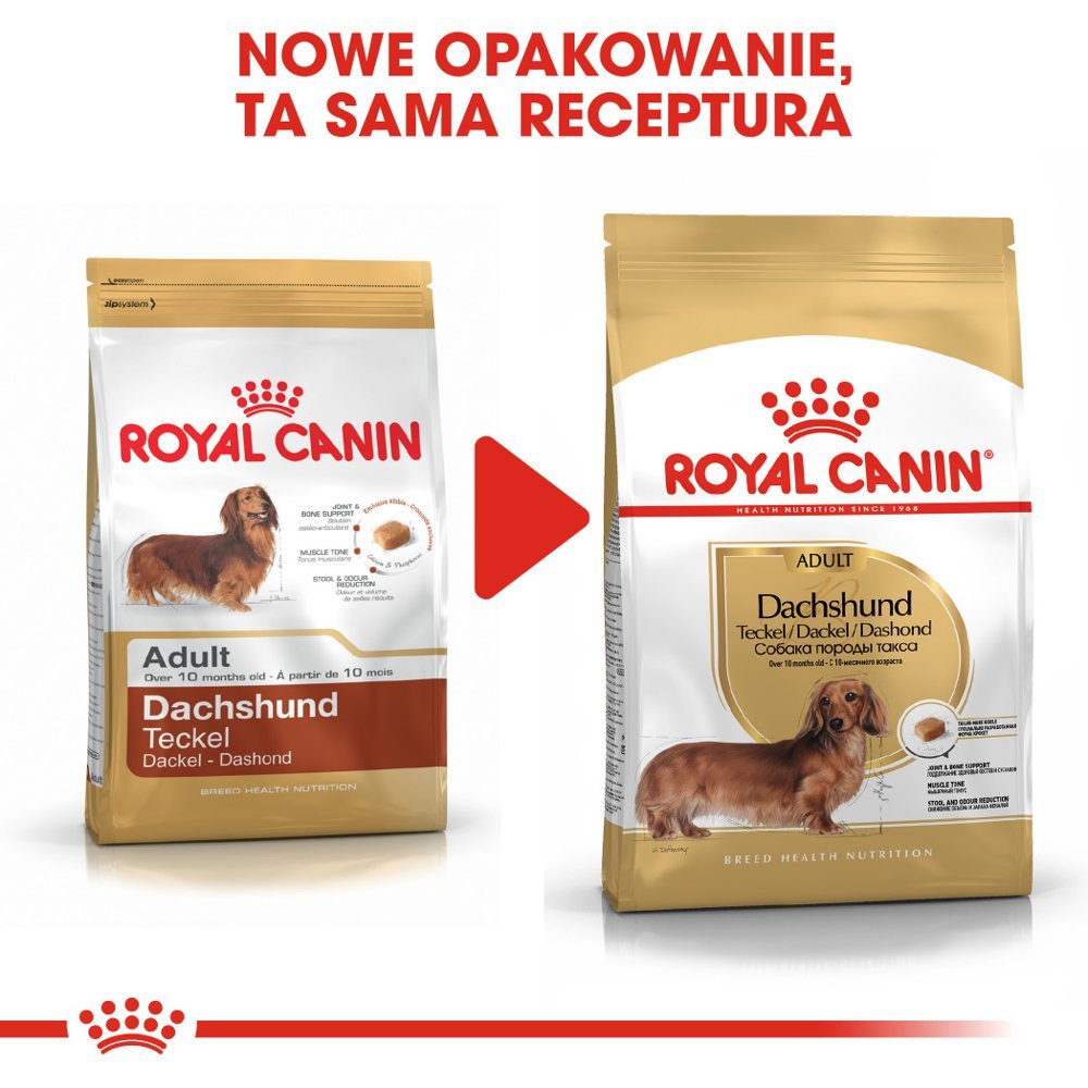 ROYAL CANIN Dachshund 7,5kg karma sucha dla psów dorosłych rasy jamnik + niespodzianka dla psa
