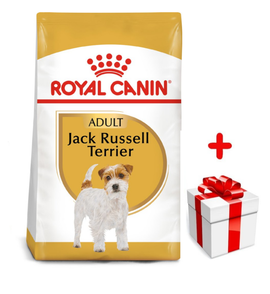 Royal canin jack russell hotsell terrier adult