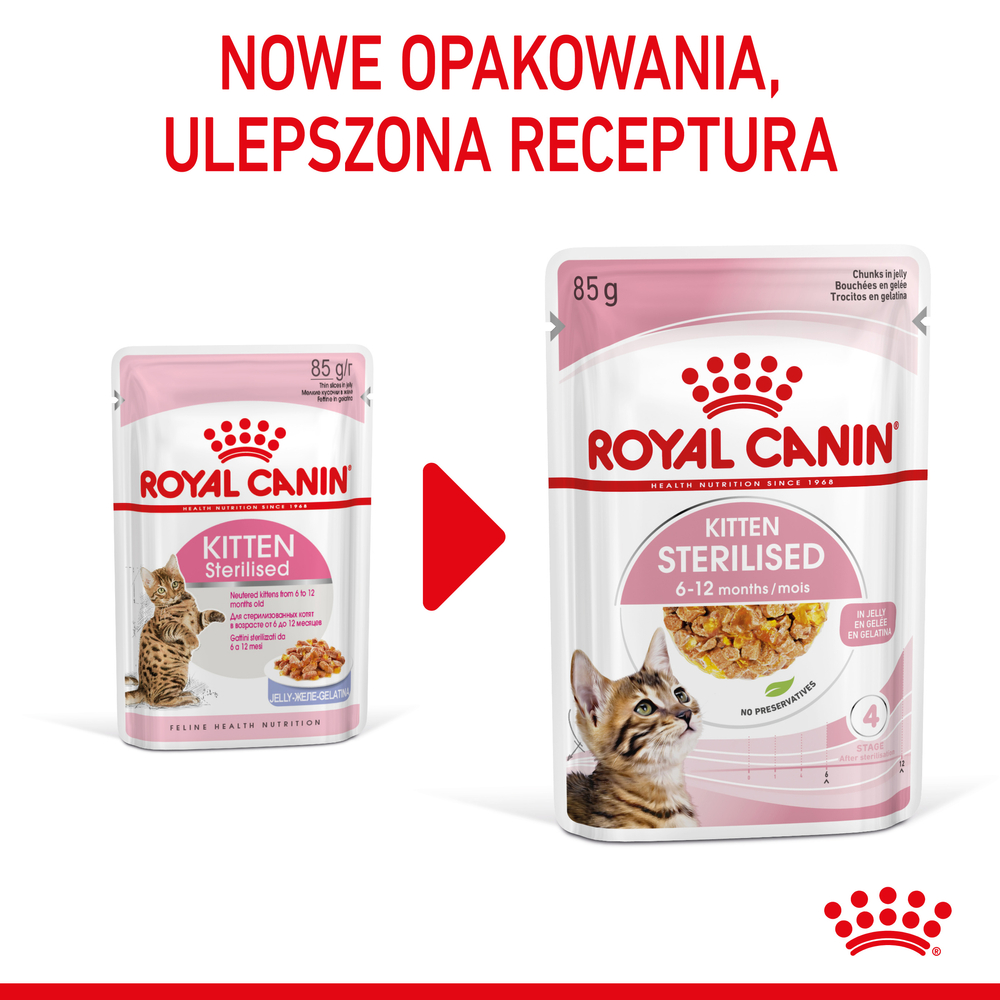 Royal Canin Kitten Sterilised W Galaretce Karma Mokra W Galaretce Dla