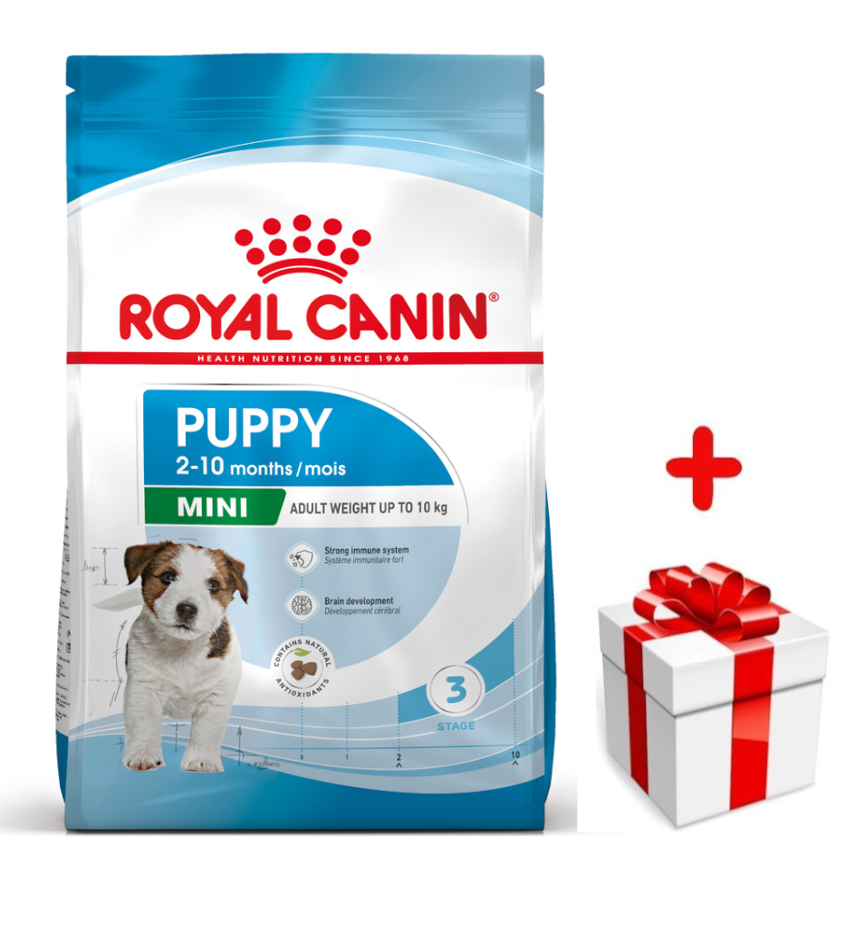 Royal canin renal store special rsf 13