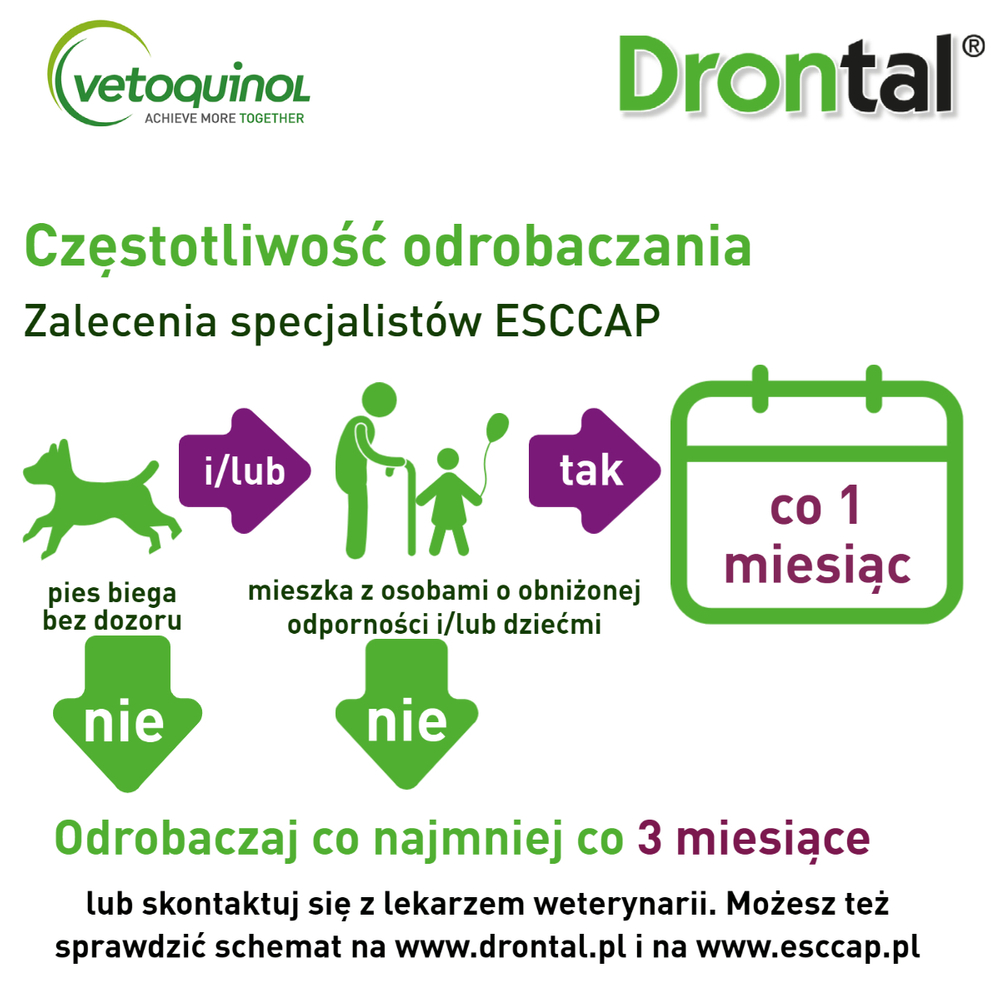Drontal Bayer tabletki na robaki dla psa Sklep ZooArt