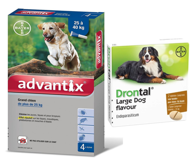 Advantix - dla psów 25-40kg (4 pipety x 4ml) + Drontal PLUS FLAVOUR dla psów pow.35kg 2tabl