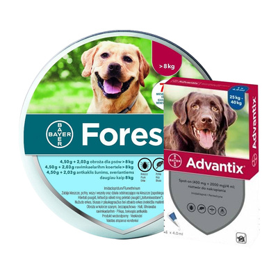 BAYER Foresto Obroża dla psów powyżej 8kg + Advantix - dla psów 25-40kg (4 pipety x 4ml)