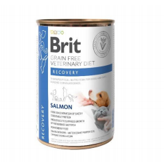 BRIT GF Veterinary Diets Recovery Salmon 400g - karma mokra dla psa i kota