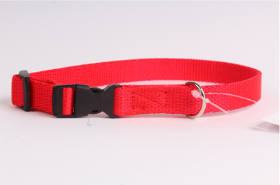 DogStuffs Obroża z plastikową klamrą 25mm/34-60cm czerwona