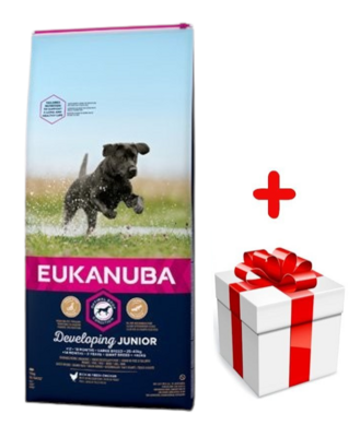 EUKANUBA Junior Large 15kg + niespodzianka dla psa GRATIS!