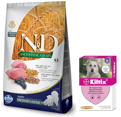 Farmina N&D Ancestral Grain canine LAMB & BLUEBERRY PUPPY MEDIUM & MAXI 12 kg + BAYER Kiltix Obroża dla psów dużych dł, 70cm